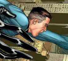 Super-eroul lui Reed Richards. "Fantastic Four"