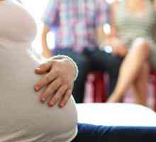 Este maternitatea surogat? Opinii despre maternitatea surogat în Rusia