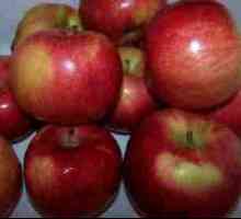 Uscarea merelor într-un cuptor cu microunde timp de 5 minute