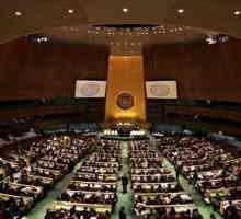 Esența reformei ONU