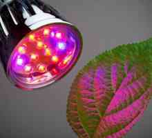 LED-uri pentru plante, o gamă de lămpi LED
