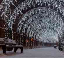 Tunel luminos pe bulevardul Tverskoy: descriere
