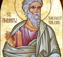 Sfântul Andrei primul numit: icoane, biserici, ordin