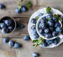 Proprietățile prunii. Care sunt beneficiile prunelor pentru organism?