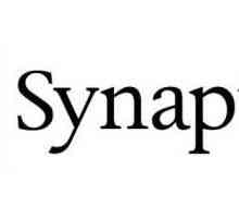 Synaptics: pentru ce este acest program și pentru ce este?