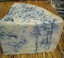 Brânză Gorgonzola: subtilități ale tehnologiei de producție, caracteristici ale aromelor,…