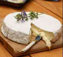 Cheese `Camembert`: cum să mâncăm delicatețea franceză în mod corect