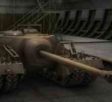 T 95 - PT-SAU: istorie, fotografie, utilizare în luptă