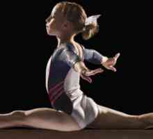 Dansuri gimnastica pentru copii. Pro și Contra de Gimnastică Ritmică