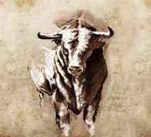 Bull`s tattoo: istoria simbolului și sensul modern