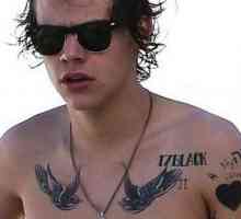 Tatuajul lui Harry Styles - pasiune, pasiune, capriciu?