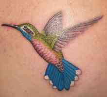 Tattoo `Kolibri` - frumusețe pe corp