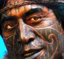 Tatuajul "Maori": semnificația tribului, modul în care au fost aplicate, modul în care…