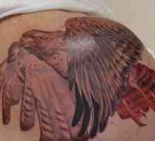 Tattoo `Falcon`: caracteristici, descriere, fotografie