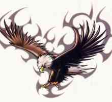 Tatuajul "vulturul" - un simbol al libertății și curajului