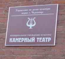 Teatrul Kamerny, Cherepovets: repertoriu, istorie