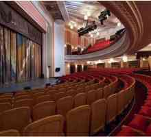 Teatrul `Millennium`: repertoriu, trupa, recenzii