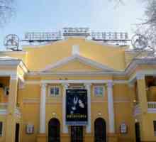 Teatru de comedie muzicală, Novosibirsk: istorie, trupă, repertoriu
