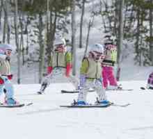 Siguranța în lecțiile de schi. Organizarea de lecții de schi la școală