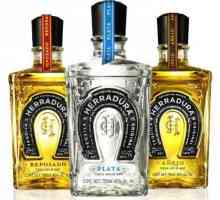 Tequila `Herradura`: descriere, istoric de producție și tipuri