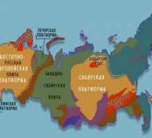 Structura tectonică a Câmpiei Siberiei de Vest. Placă din Siberia de Vest