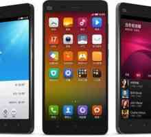 Telefonul Xiaomi: autentificare și nuanțe de bază