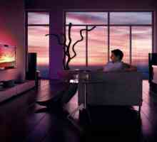 TV: evaluarea calității. Evaluarea celor mai bune televizoare LCD, televizoare inteligente