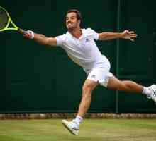 Tenisul Richard Gasquet: biografie, realizări, abilități