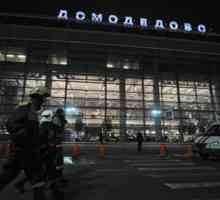Atacul terorist din Domodedovo: o cronică a evenimentelor, cauzelor, consecințelor