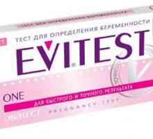 Teste pentru ovulație și sarcină `Evistist`: opinii, descrierea, preturi,…