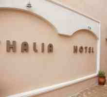 Thalia Hotel Crete 3 * (Hersonissos, Grecia): recenzii ale turiștilor