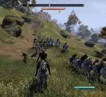 Elder Scrolls Online: cerințele de sistem pentru joc