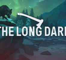 Întunericul lung: complotul, caracteristicile gameplay-ului