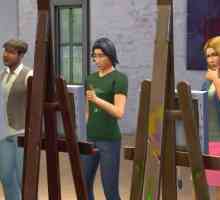 The Sims 4. Cerințe de sistem. caracteristicile