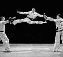 Taekwondo - ce este? Scurtă descriere și istorie
