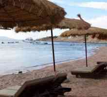 Three Corners Palmyra Resort 4 * (Egipt / Sharm El Sheikh): recenzii, poze