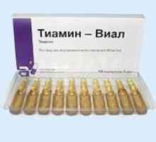 "Thiamin-Vial": instrucțiuni de utilizare