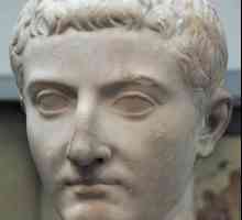 Tiberius Gracchus - politician antic roman
