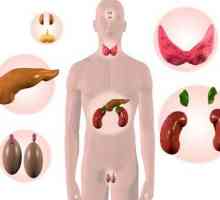Hormoni tiroidieni: sursă, semnificație, patologie