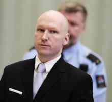 Închisoarea lui Breivik. Cum trăiește Breivik în închisoare?