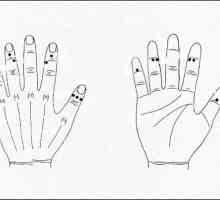 Puncte pe mâinile responsabile pentru organe. Puncte de acupunctura pe maini (fotografie)