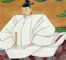 Toyotomi Hideyoshi: fotografie, biografie, citat, activitate