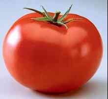 Tomat Beefe: descriere, caracteristici. Roșii cărnoase mari pentru salate și suc