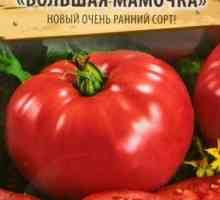 Tomato "mumia mare": răspunsuri, o fotografie, caracteristică, productivitate