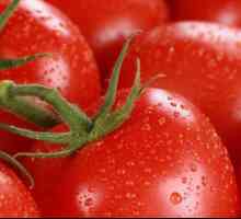 Tomato "mumia mare": răspunsurile fermierilor de camioane, trăsăturile de cultivare,…