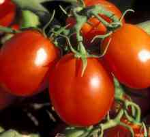 Tomato De Barao: descriere, cultivare și randament