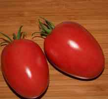 Tomato `de barao pink`: comentarii. Soiuri de roșii cu randament ridicat