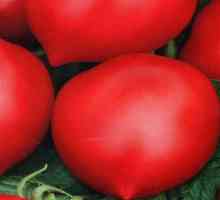 Tomato Hali-Ghali: caracteristici, descrierea soiului, recenzii
