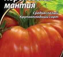Tomat Royal mantilă: descrierea soiului