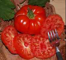 Tomato Marmande. Descrierea cultivarului